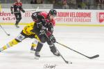 Photo hockey match Bordeaux - Rouen le 03/12/2023