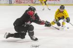 Photo hockey match Bordeaux - Rouen le 03/12/2023