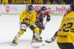 Photo hockey match Bordeaux - Rouen le 03/12/2023
