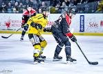 Photo hockey match Bordeaux - Rouen le 23/02/2024
