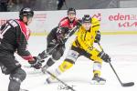 Photo hockey match Bordeaux - Rouen le 23/02/2024