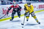 Photo hockey match Bordeaux - Rouen le 15/04/2024