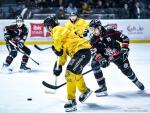 Photo hockey match Bordeaux - Rouen le 01/03/2026