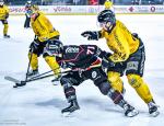 Photo hockey match Bordeaux - Rouen le 01/03/2026