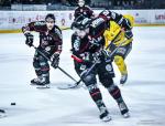 Photo hockey match Bordeaux - Rouen le 01/03/2026