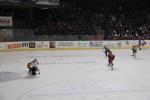 Photo hockey match Bordeaux - Strasbourg  le 12/01/2016