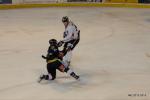 Photo hockey match Bordeaux - Toulouse-Blagnac le 17/11/2012