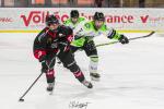 Photo hockey match Bordeaux Mineur - Epinal  le 25/02/2024