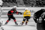 Photo hockey match Bordeaux Mineur - Evry / Viry Mineur le 08/10/2022