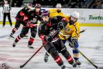 Photo hockey match Bordeaux Mineur - Evry / Viry Mineur le 08/10/2022
