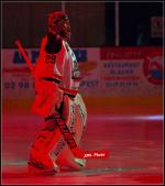 Photo hockey match Brest  - Bordeaux le 23/01/2016