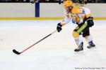 Photo hockey match Brest  - Strasbourg  le 18/01/2014