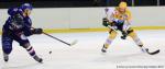 Photo hockey match Brest  - Strasbourg  le 18/01/2014