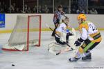Photo hockey match Brest  - Strasbourg  le 18/01/2014