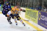 Photo hockey match Brest  - Strasbourg  le 18/01/2014