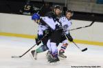 Photo hockey match Brest II - Rennes le 16/11/2013