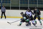 Photo hockey match Brest II - Rennes le 16/11/2013