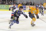 Photo hockey match Caen  - Dijon  le 05/01/2013