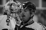 Photo hockey match Caen  - Mulhouse le 30/11/2012