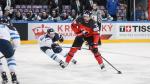 Photo hockey match Canada - Finland le 16/05/2017