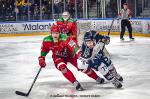 Photo hockey match Cardiff - Angers  le 13/01/2023