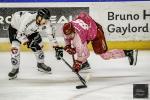 Photo hockey match Cergy-Pontoise - Amiens  le 17/10/2023