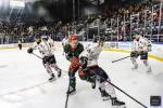 Photo hockey match Cergy-Pontoise - Amiens  le 16/01/2024