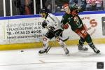 Photo hockey match Cergy-Pontoise - Amiens  le 16/01/2024