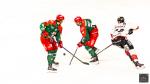 Photo hockey match Cergy-Pontoise - Amiens  le 05/12/2025
