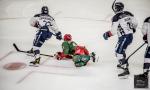 Photo hockey match Cergy-Pontoise - Angers  le 09/12/2022