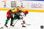 Photo hockey match Cergy-Pontoise - Anglet le 23/12/2025