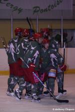 Photo hockey match Cergy-Pontoise - Avignon le 29/01/2011