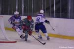 Photo hockey match Cergy-Pontoise - Avignon le 29/01/2011