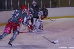 Photo hockey match Cergy-Pontoise - Avignon le 29/01/2011