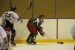 Photo hockey match Cergy-Pontoise - Bordeaux le 15/11/2008
