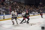 Photo hockey match Cergy-Pontoise - Chamonix  le 23/02/2024