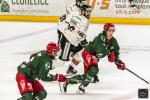 Photo hockey match Cergy-Pontoise - Chamonix  le 23/02/2024