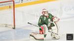 Photo hockey match Cergy-Pontoise / Fminin - Amiens / Fminin le 08/10/2022