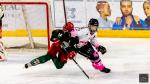 Photo hockey match Cergy-Pontoise / F�minin - Amiens / F�minin le 10/01/2026