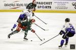 Photo hockey match Cergy-Pontoise - Gap  le 24/01/2025