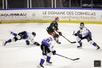 Photo hockey match Cergy-Pontoise - Gap  le 24/01/2025
