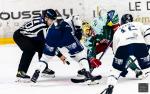 Photo hockey match Cergy-Pontoise - Gap  le 20/01/2026