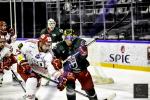 Photo hockey match Cergy-Pontoise - Grenoble  le 09/09/2023