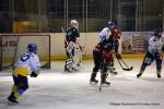 Photo hockey match Cergy-Pontoise - Limoges le 19/03/2016