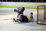 Photo hockey match Cergy-Pontoise - Limoges le 19/03/2016