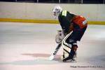 Photo hockey match Cergy-Pontoise - Limoges le 19/03/2016