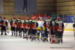 Photo hockey match Cergy-Pontoise - Limoges le 19/03/2016