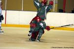 Photo hockey match Cergy-Pontoise - Montpellier  le 23/01/2010