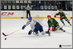 Photo hockey match Cergy-Pontoise - Paris (FV) le 19/11/2016