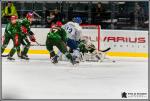 Photo hockey match Cergy-Pontoise - Paris (FV) le 19/11/2016